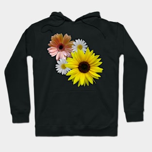 sunflower daisy gerbera bloom floral flowers petal Hoodie